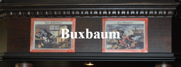 Buxbaum